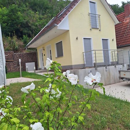 Ferienhaus Saaleblick Wettin Exteriör bild